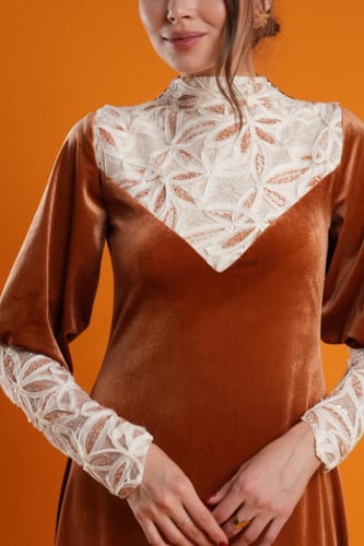 أقحوان ڤيلڤت