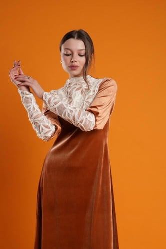 أقحوان ڤيلڤت