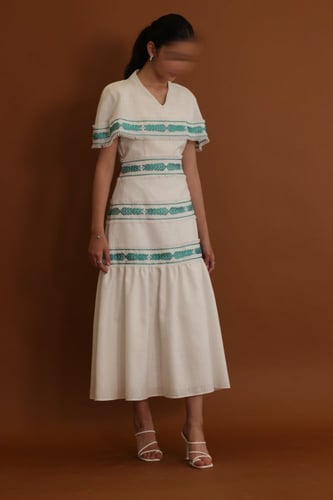 Arauccaria اروكاريا