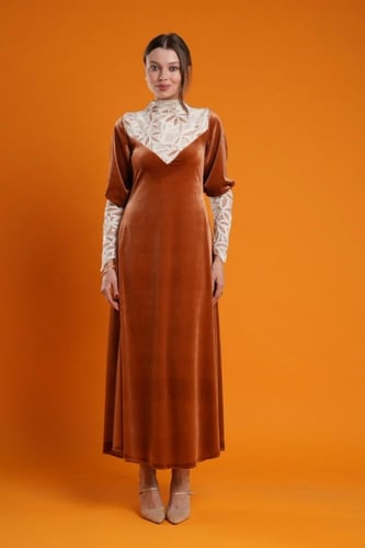 أقحوان ڤيلڤت