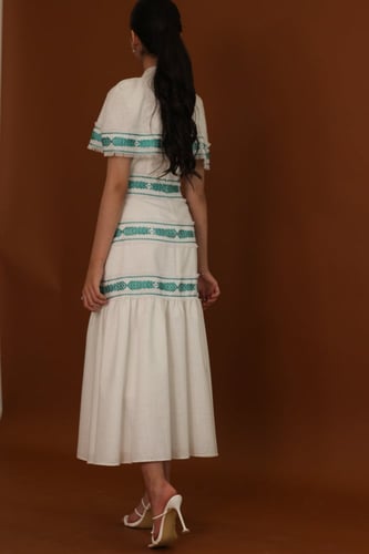 Arauccaria اروكاريا