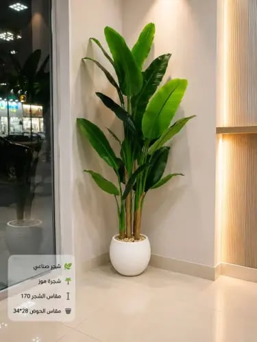 شجرة موز الصناعية بحوض أبيض أنيق