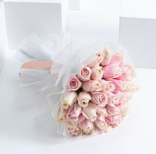 باقة سلام وهدوء