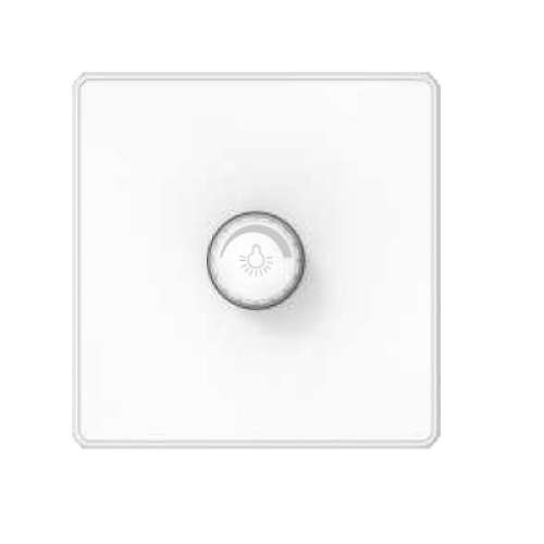 دايمر 1000 واط ماس Maas