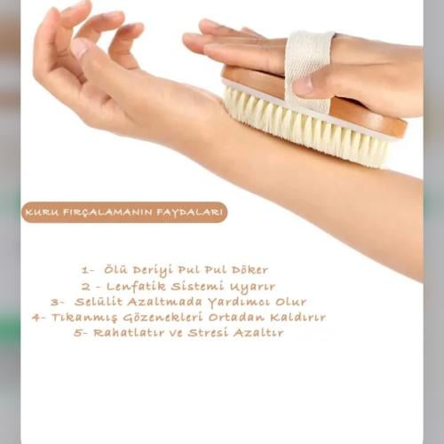 فرشاة سيلوليت نويسكا التركيه