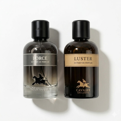 مجموعه الفخامة اليومية