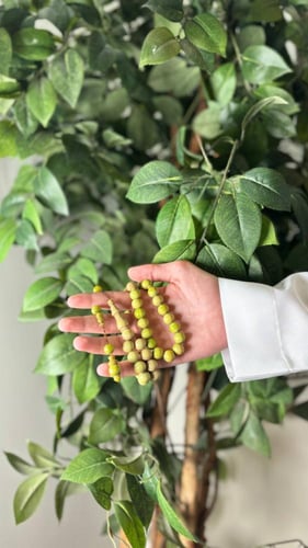 مسباح فاتوران فستقي