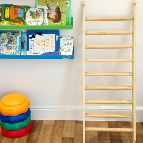 سلم التسلق (إكسسوار فقط)