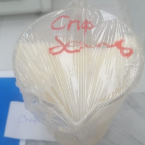 crepe - كريب