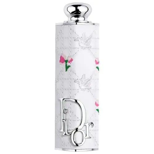 DIOR Dior Addict case