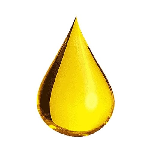 زيت شعر ايلفيف للشعر المصبوغ من لوريال باريس - 100...