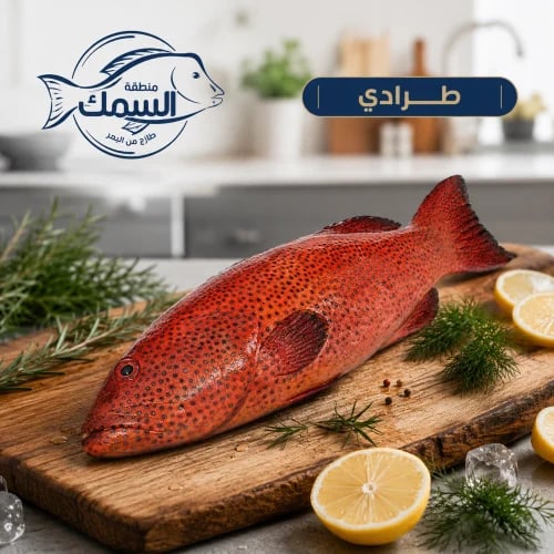 طرادي