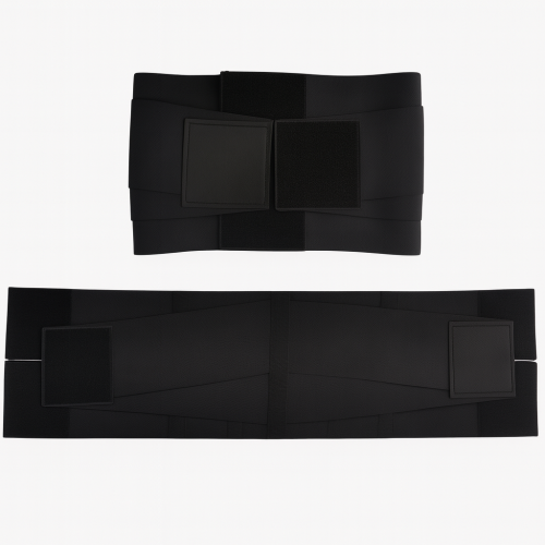 دعامة الظهر