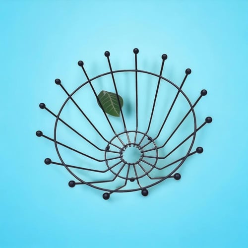 حاملة فاكهه