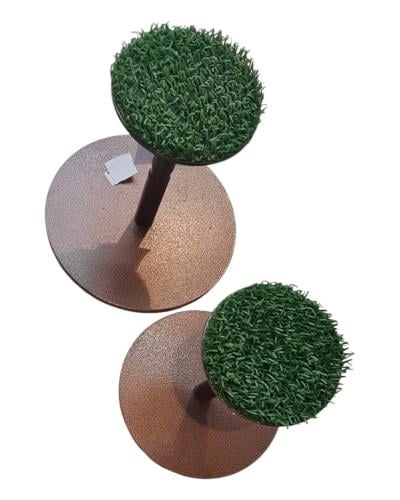 وكر الصغر والطيور الجارحة