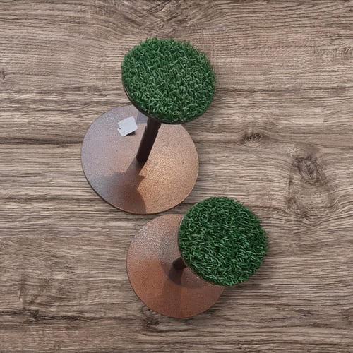 وكر الصغر والطيور الجارحة