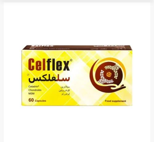 سلفلكس 60 كبسولة