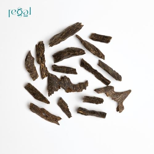 ترات دبل سوبر
