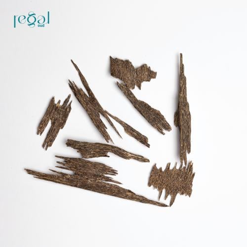 ماليزي كنق كسر كبيرة