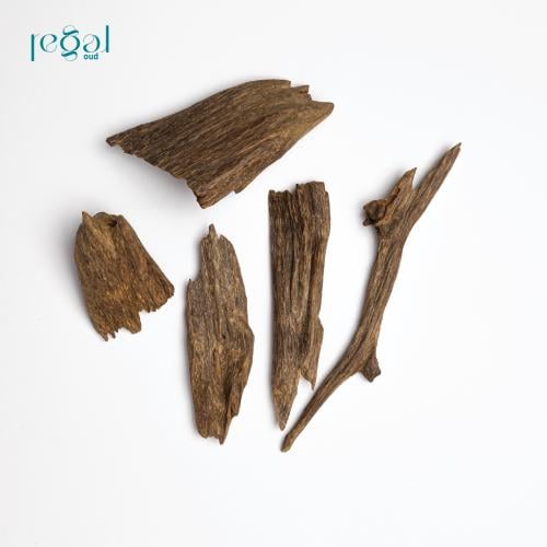 مروكي الحي رقم 1 كسر كبيرة