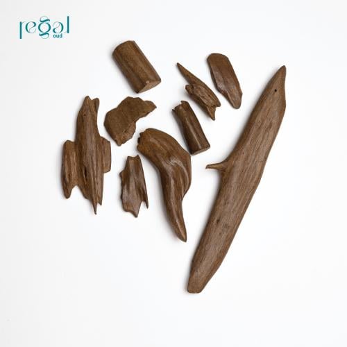 مروكي اصقون كنق مباخر