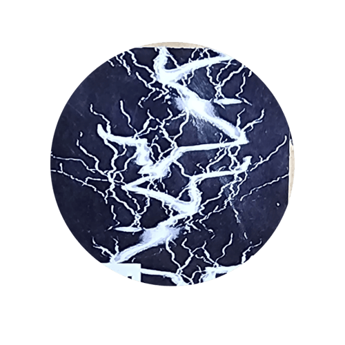 سكوتر درفت 36 فولت (ميني) موديل AM011