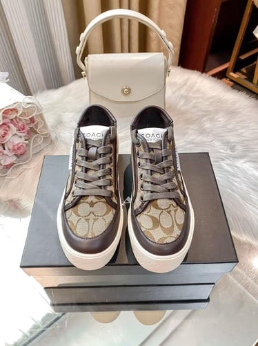 Coach Shoes شوز كوتش بني