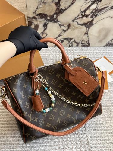 نانو سبيدي LV SPEEDY30 bag