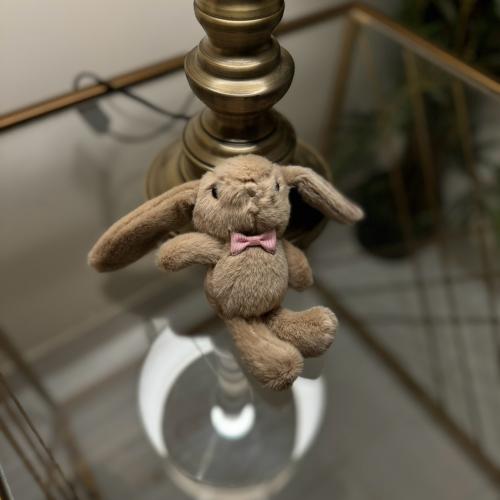 ميدالية الارنب