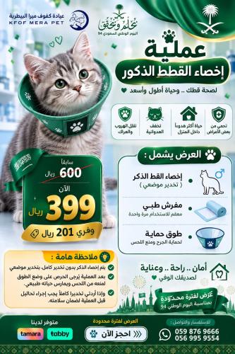 عرض اليوم الوطني لإخصاء القطط الذكور