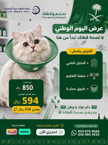 عرض اليوم الوطني لتعقيم القطط الشامل
