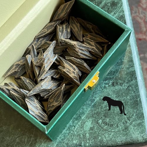 عود تايقر كمبودي