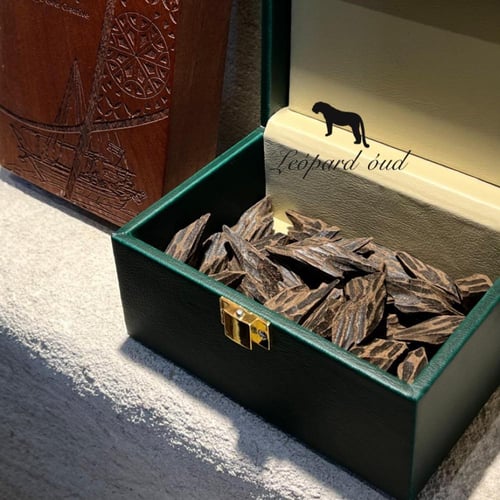 عود تايقر كمبودي