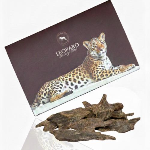 العود الحرم – كلمنتان