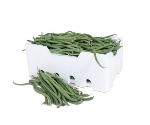 فلين فاصوليا خضراء