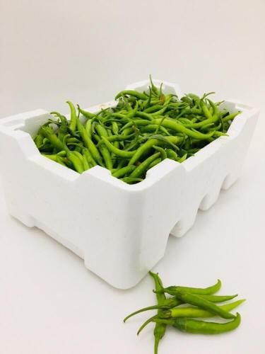 فلين فلفل هندي