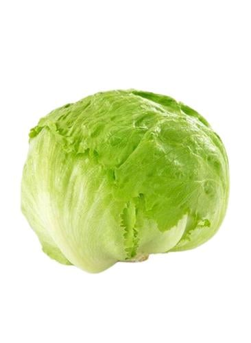 خس آيسبرج حبة