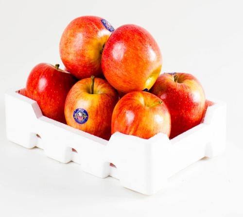 صحن تفاح صغير فوجي