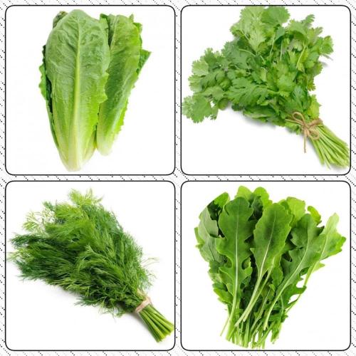 ورقيات 4 حبات