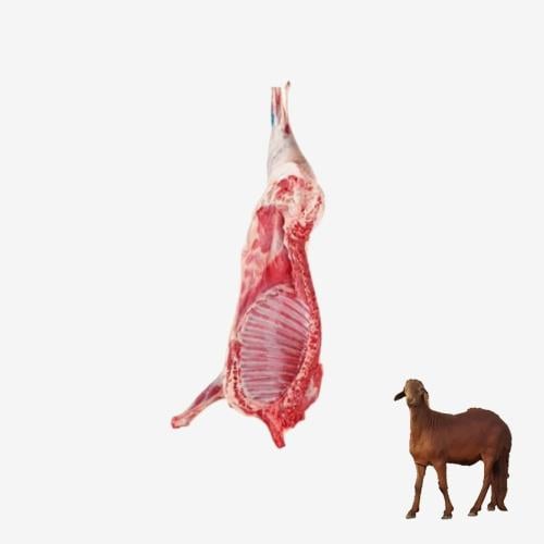 ربع خروف سواكني