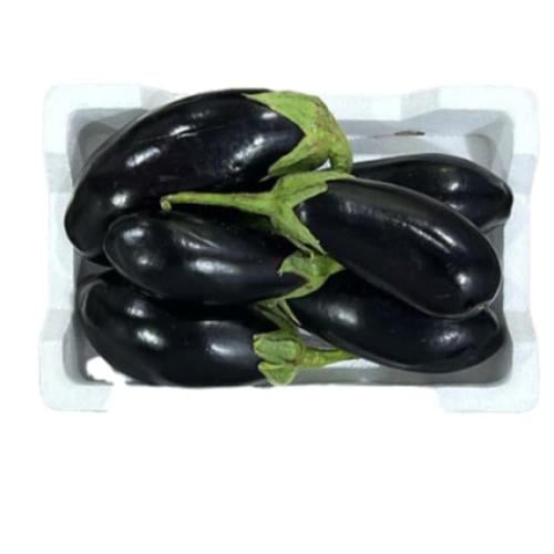 فلين باذنجان صغير