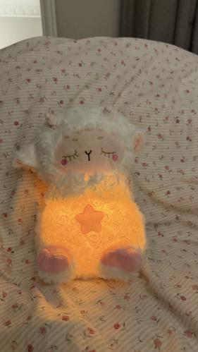 دبدوب متنفس النجمة بني