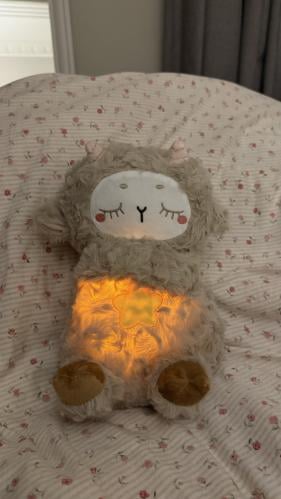 دبدوب متنفس النجمة بني