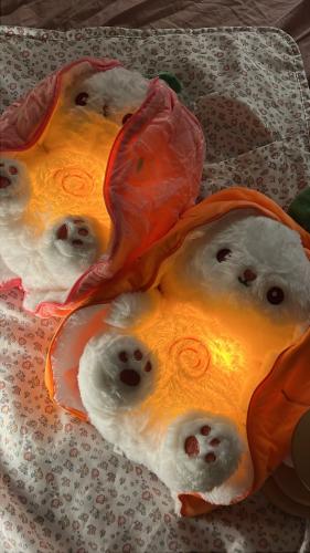 عرض دبدوب الجزره والفراوله + هدية المنتج