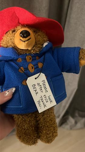 دبدوب Paddington لندن