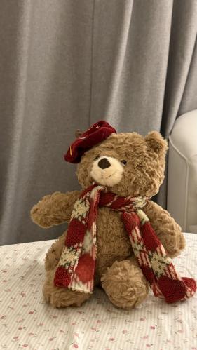 الدبدوب الشتوي مع بوكس