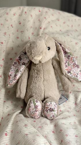 دبدوب بني ارنوب