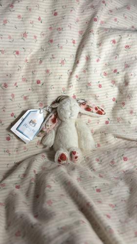 ميدالية ارنوب الفراوله