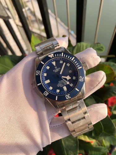 ماركة تودور بيلاجوس