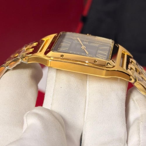 كارتير سانتوس دومو